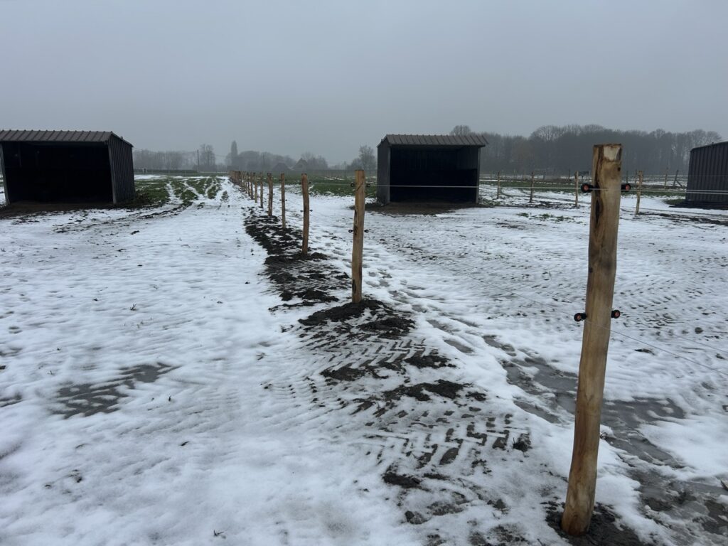 Elektrische paardenomheining met houten palen en staaldraad op besneeuwd weiland naast schuilstallen