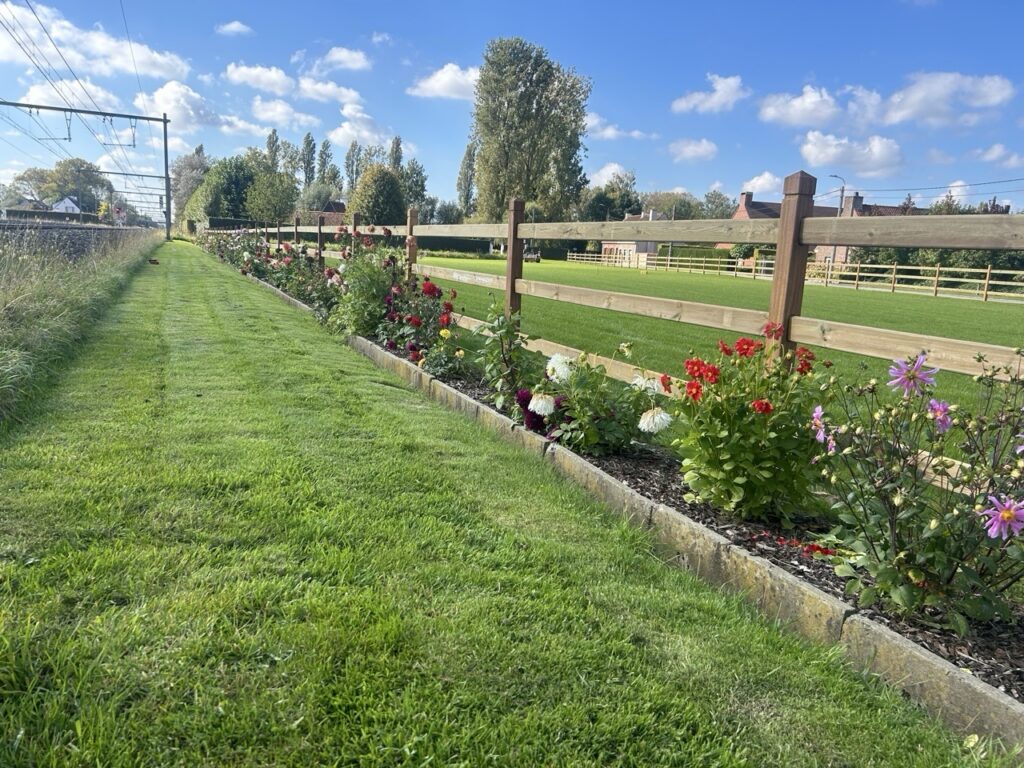 houten landbouwomheining met bloemenperk langs grasveld in landelijke omgeving bij Nieuwlandzicht