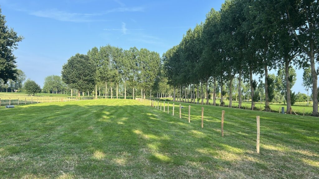 natuurlijke houten paalafscheiding in groene weide met bomen op achtergrond