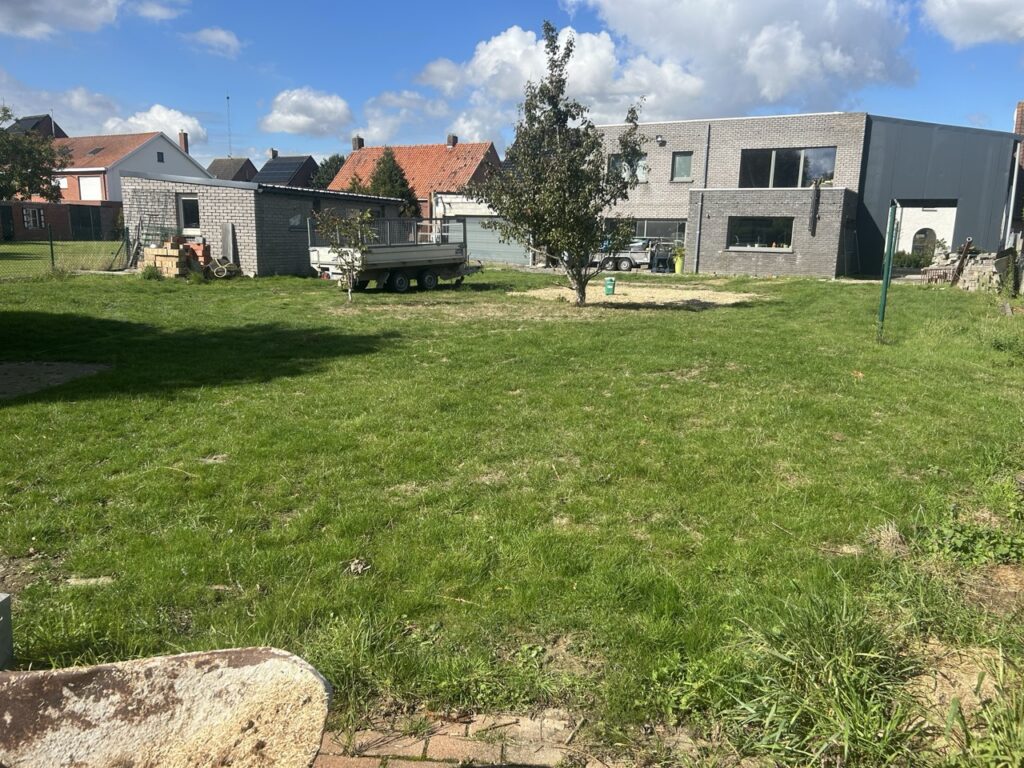 Gazon met boom en aanliggende gebouwen zonder zichtbare omheining of afbakening voor dieren
